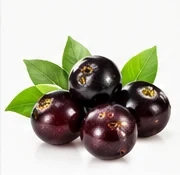 A&ccedil;a&iacute; Fruit ingredient illustration