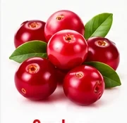Cranberry ingredient illustration